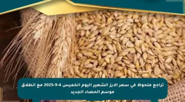 تراجع ملحوظ في سعر الأرز الشعير اليوم الخميس 4-9-2025 مع انطلاق موسم الحصاد الجديد